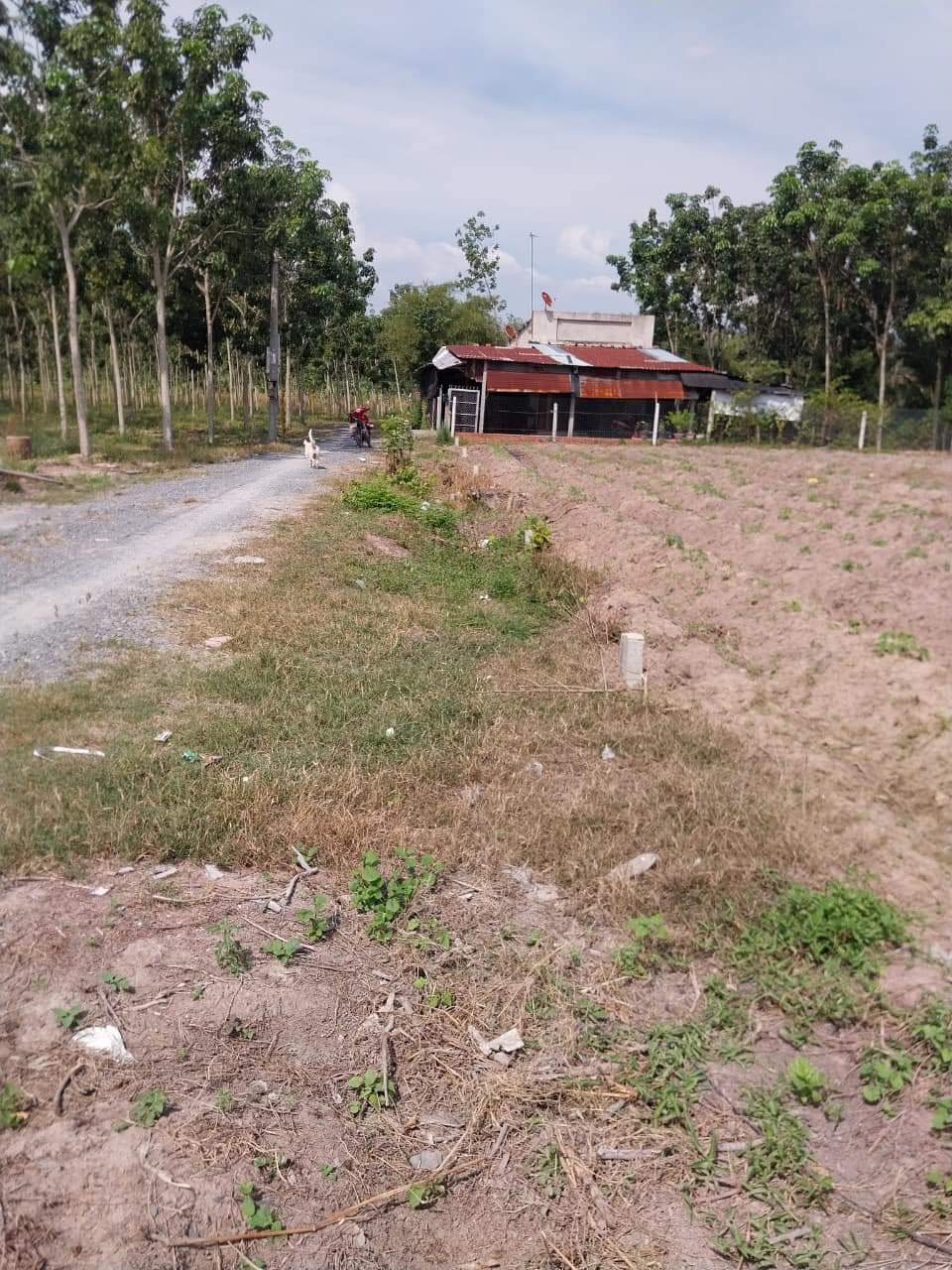 Bán đất 205m² 400 triệu tại Xã Thạnh Đức Huyện Gò Dầu