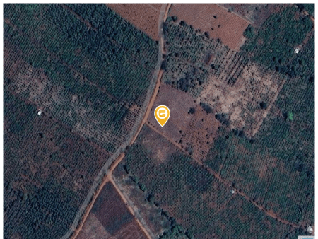 Bán đất 7000m² tại Xã Tân Thành Huyện Krông Nô