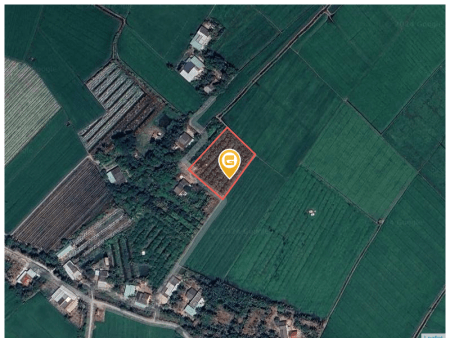 Bán nhà 2558.6m² tại Xã Mỹ An Huyện Thủ Thừa