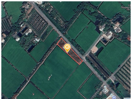 Bán nhà 2370.5m² tại Thị trấn Thủ Thừa Huyện Thủ Thừa