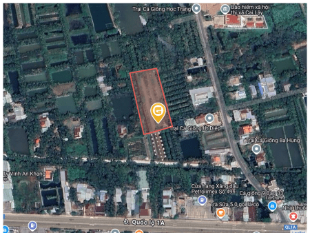Bán đất 3989.6m² Thị xã Cai Lậy