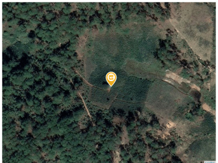 Bán nhà 270000m² tại Xã Đạ Sar Huyện Lạc Dương