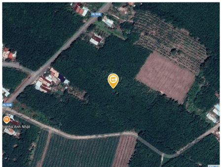 Bán đất 2170m² tại Xã Phước Sang Huyện Phú Giáo
