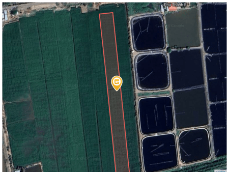 Đất ruộng cặp đường 9422,0m² 1.42 tỷ tại Xã Phú Thành B Huyện Tam Nông