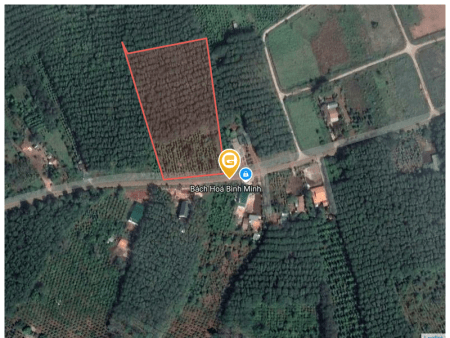 Bán đất 10246.3m² tại Xã Ea Tir Huyện Ea H'leo