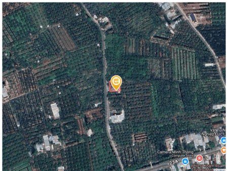 Bán nhà 427.2m² Thị xã Cai Lậy