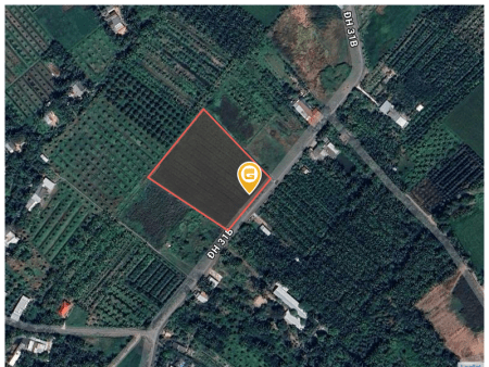 Bán đất 6842m² 9 tỷ tại Xã Chánh Hội Huyện Mang Thít