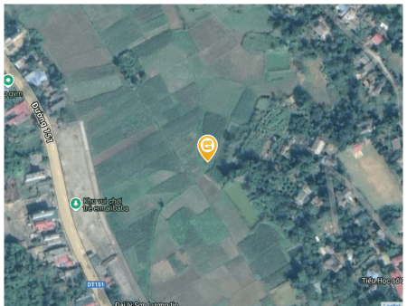 Đường Tuấn Dân