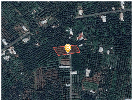 Bán đất 2279m² tại Xã Đông Hòa Hiệp Huyện Cái Bè
(vườn 4C)