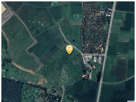 Bán đất 3000m² 500 triệu tại Xã Yên Ninh Huyện Yên Định