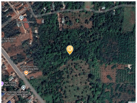 Bán đất 3090m² 2.1 tỷ tại Xã Ea Nuôl Huyện Buôn Đôn