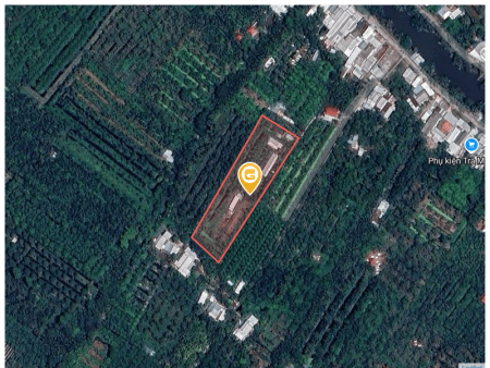 Bán đất 5252.8m² tại Xã Phú Hữu Huyện Châu Thành