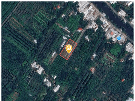 Bán nhà 2119.8m² tại Xã Phú Hữu Huyện Châu Thành