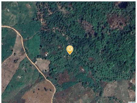 Bán nhà 500000m² tại Xã Đức Xuyên Huyện Krông Nô