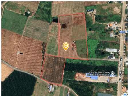 Bán đất 7345,1m² 11.4 tỷ tại Thị trấn Tân Nghĩa Huyện Hàm Tân