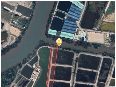 Bán nhà 5541.9m² tại Xã Tam Thôn Hiệp Huyện Cần Giờ
