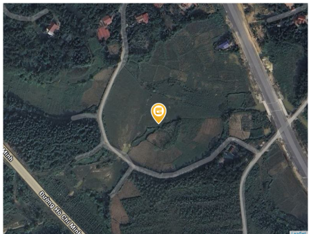 Bán đất 50000m² 1 tỷ tại Xã Cổ Tiết Huyện Tam Nông