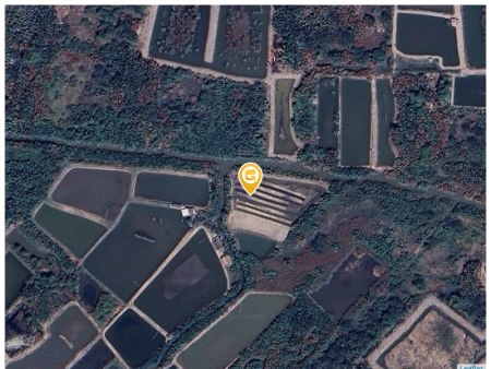 Bán đất 6420.6m² 21 tỷ tại Xã Bình Khánh Huyện Cần Giờ