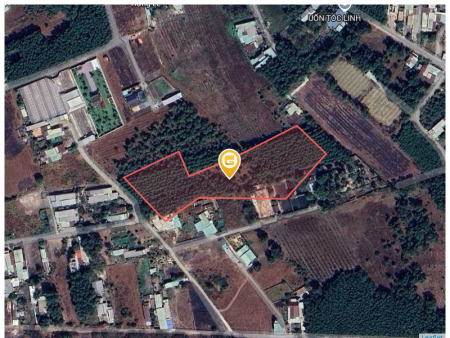 Bán đất 10000m² 50 tỷ tại Xã Lộc An Huyện Long Thành