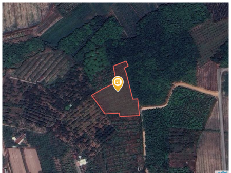 Bán đất 5367m² 2 tỷ tại Xã Tân Bình Thành phố Tây Ninh