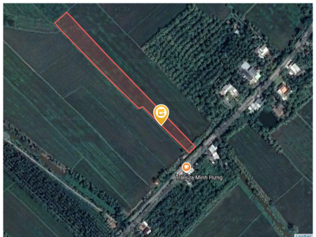 Bán đất 5475.8m² 2.5 tỷ tại Xã Phong Thạnh Huyện Cầu Kè