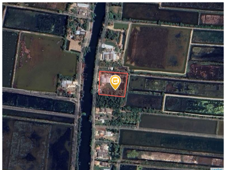 Bán đất 3001.8m² 2 tỷ tại Xã Hồ Thị Kỷ Huyện Thới Bình