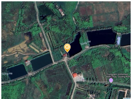 Bán đất tại Xã Đại Đồng Huyện Kiến Thuỵ