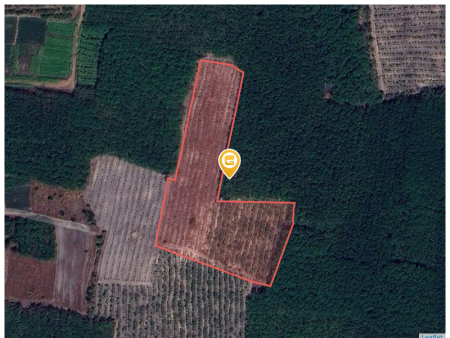 Bán đất 1000m² 180 triệu tại Xã Thành Tâm Thị xã Chơn Thành