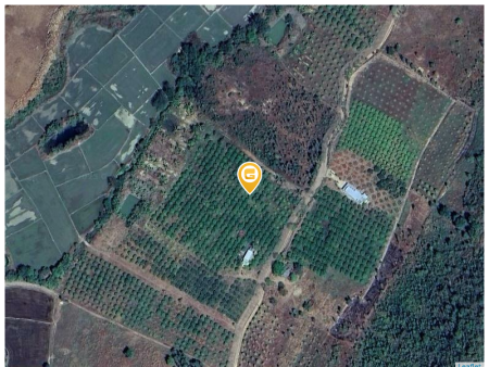 Bán đất 10000m² 800 triệu tại Xã Sông Bình Huyện Bắc Bình