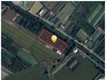 Bán đất 54756m² tại Xã Tân Dương Huyện Lai Vung
