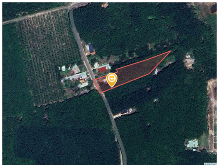 Cần bán lỗ 1000m2 SHR giá 180 triệu. LH: 0933.263.596 A.Vỹ gửi thông tin đất ạ