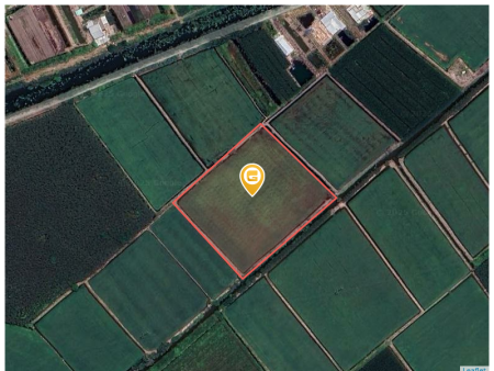 Bán đất 11330m² 1.15 tỷ tại Xã Thủy Tây Huyện Thạnh Hóa