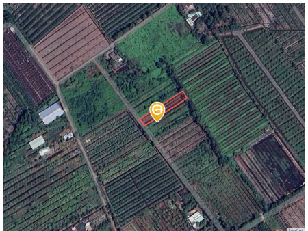 Bán đất 1000m² 1.2 tỷ tại Xã Thạnh Lợi Huyện Bến Lức