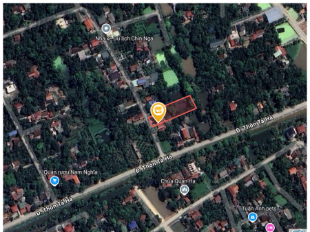 Bán đất 1296.3m² tại Xã Văn Lý Huyện Lý Nhân