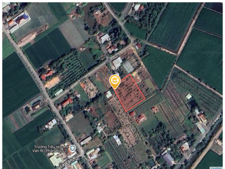 Bán đất full hồng 2730m² 1.09 tỷ tại Xã Mỹ Thạnh Đông Huyện Đức Huệ