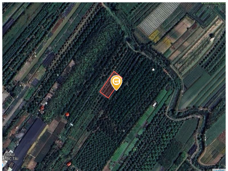 Bán đất 11040m² 1.3 tỷ tại Xã Tân Khánh Đông Thành phố Sa Đéc
