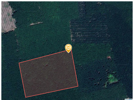 Bán đất 1000m² 180 triệu tại Xã Quang Minh Thị xã Chơn Thành