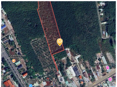Cần bán lỗ 1000m2 SHR giá 180 triệu. LH: 0933.263.596 A.Vỹ gửi thông tin đất ạ
