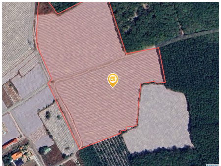 Cần bán lỗ 1000m2 SHR giá 180 triệu. LH: 0933.263.596 A.Vỹ gửi thông tin đất ạ