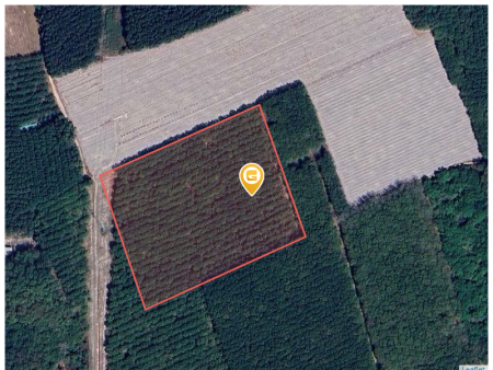 Bán đất 1000m² 180 triệu tại Thị trấn Chơn Thành Thị xã Chơn Thành