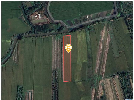 Bán đất 4100m² 4.5 tỷ tại Phường Thới An Đông Quận Bình Thuỷ