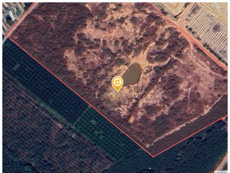 Bán đất 160000m² 120 tỷ tại Xã Tân Mỹ Huyện Bắc Tân Uyên
