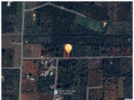Bán đất 786.8m² 1.28 tỷ tại Xã Hòa Thắng Thành phố Buôn Ma Thuột