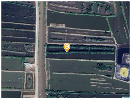 Bán đất 14000m² 5.4 tỷ tại Xã Hàng Vịnh Huyện Năm Căn