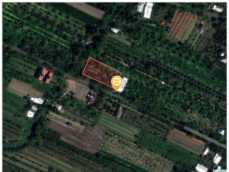 Bán đất 3000m² 2 tỷ tại Xã Nhơn Nghĩa Huyện Phong Điền