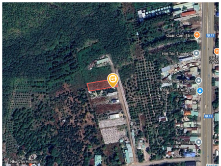 Bán đất 1003.1m² 550 triệu tại Xã Minh Hưng Thị xã Chơn Thành
