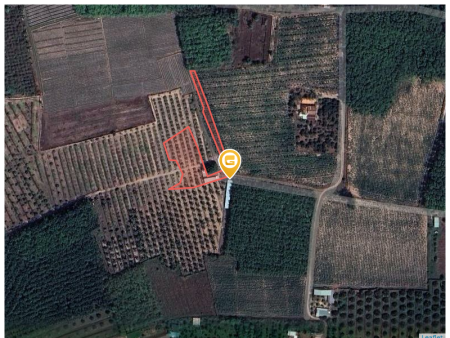 Bán đất 35000m² 8.89 tỷ tại Xã Long Chữ Huyện Bến Cầu