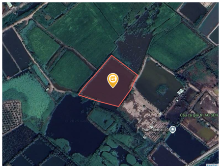 Bán đất 7345.9m² tại Xã Bình Lợi Huyện Bình Chánh