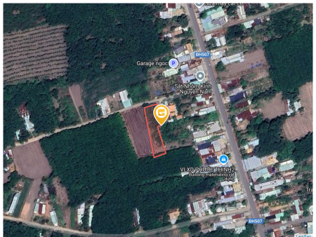 Bán đất 1307.9m² tại Xã An Linh Huyện Phú Giáo