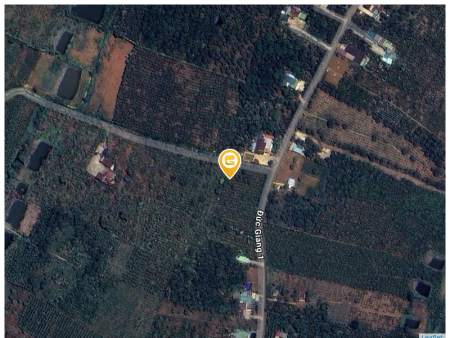 Bán đất 1000m² 500 triệu tại Xã Lộc Đức Huyện Bảo Lâm